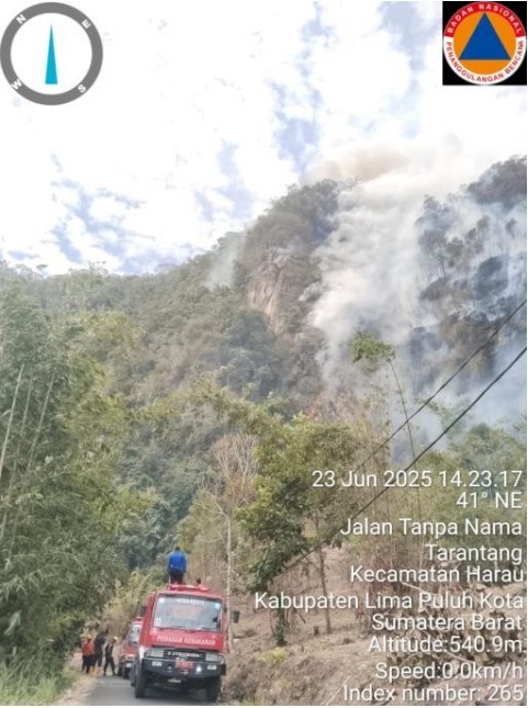 BNPB Catat Karhutla di Sumbar dan Longsor di Sulteng, Dua Korban Tewas dan Lima Hilang – Viral Terkini Indonesia