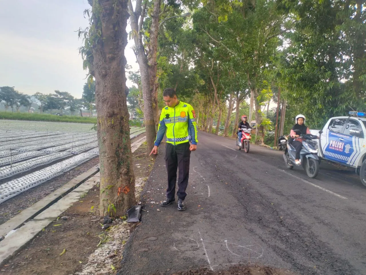 Senggolan dengan Kendaraan Misterius, Pemuda Pengasih Meninggal setelah Tabrak Pohon di Jalan Mandungan